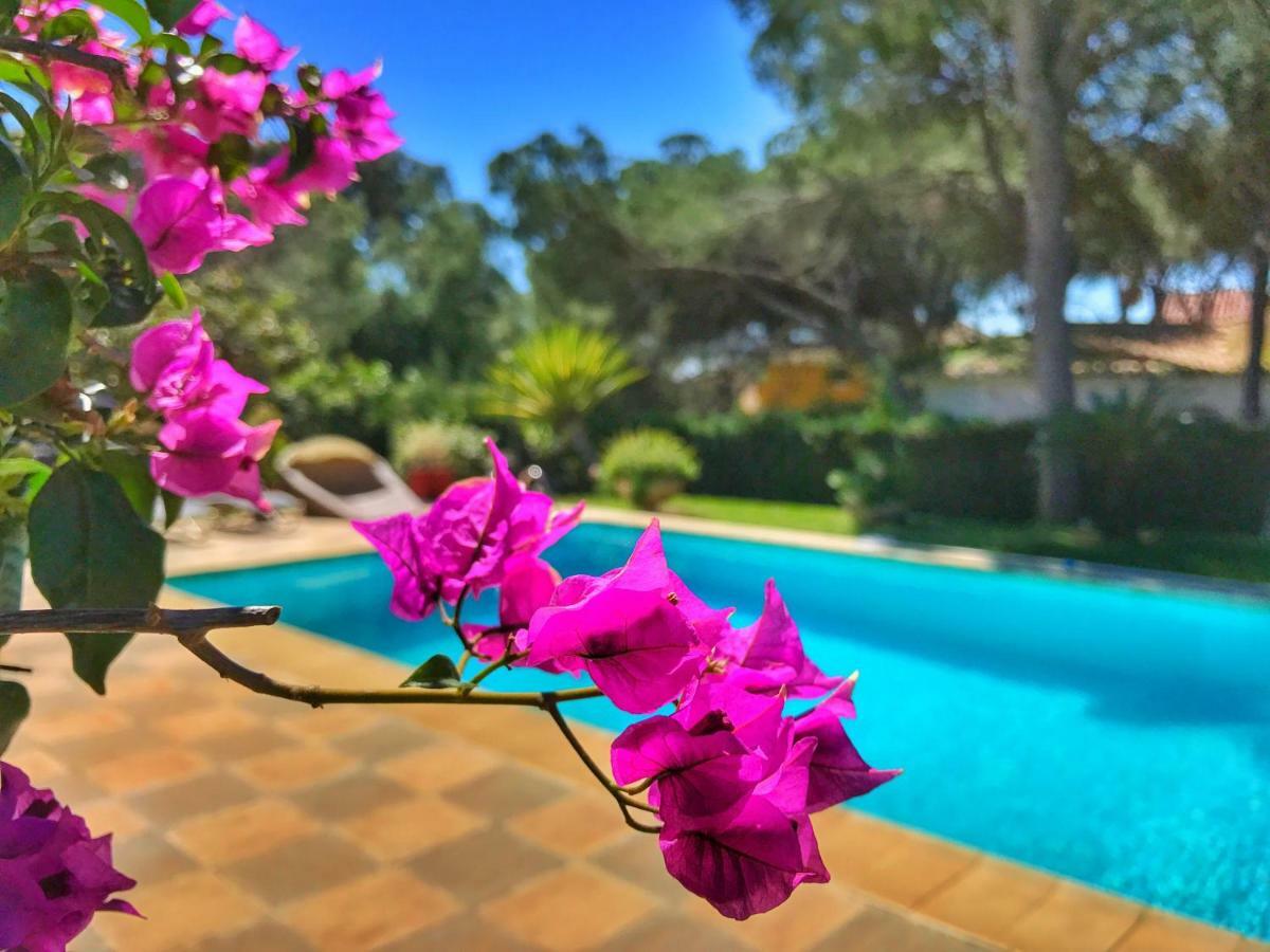 El Nacar Bed & Breakfast Marbella Exterior photo