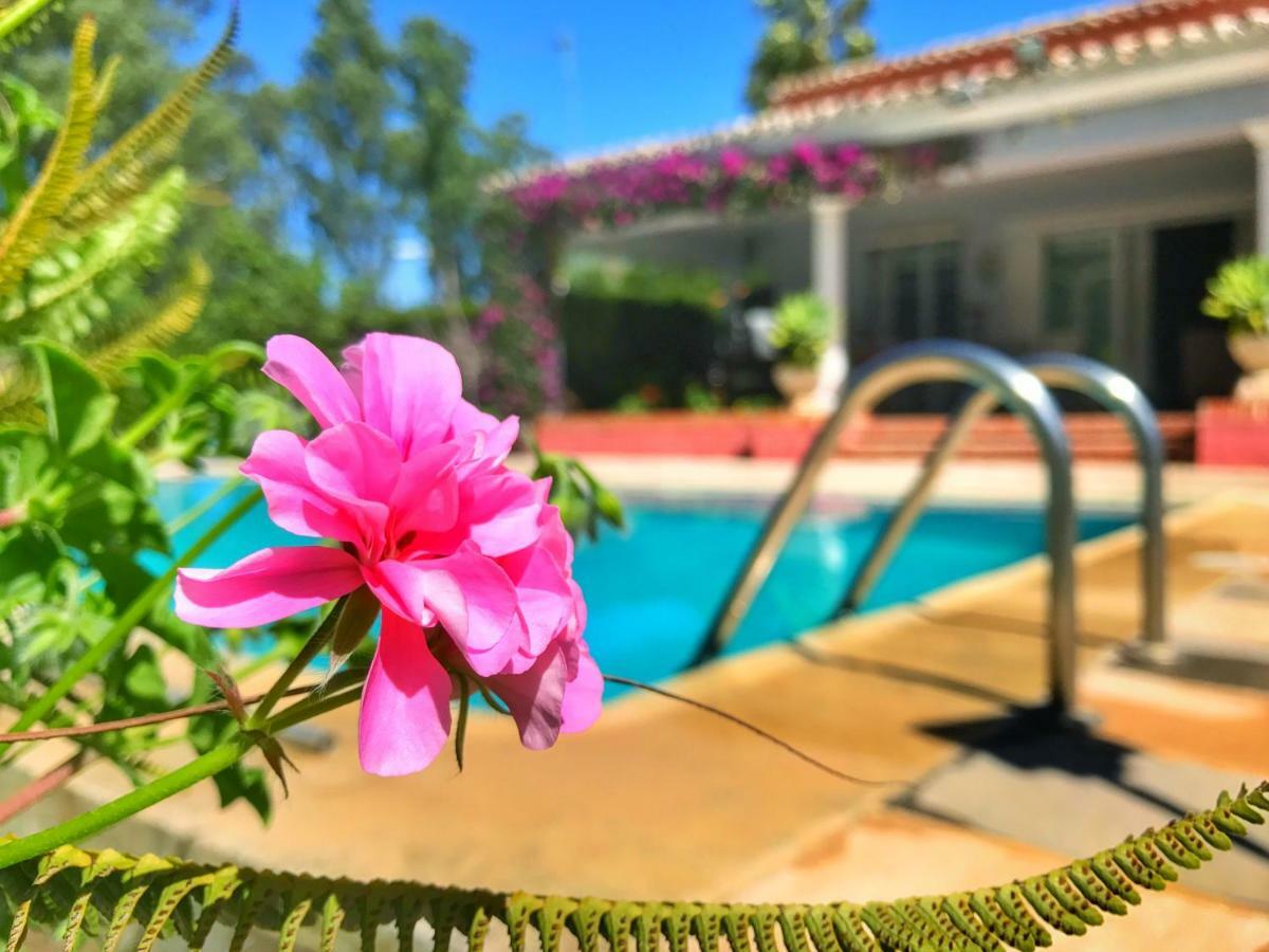El Nacar Bed & Breakfast Marbella Exterior photo
