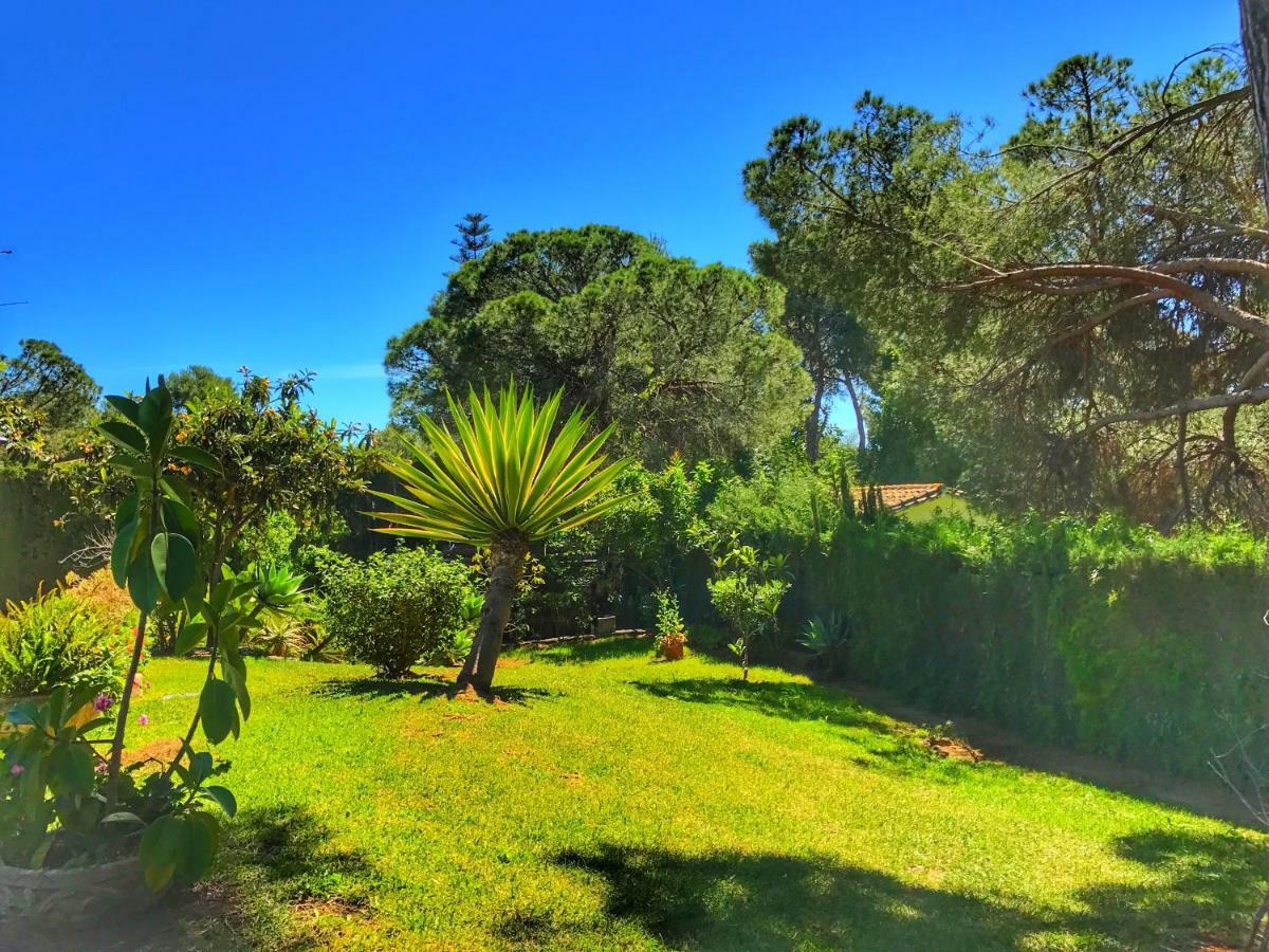El Nacar Bed & Breakfast Marbella Exterior photo