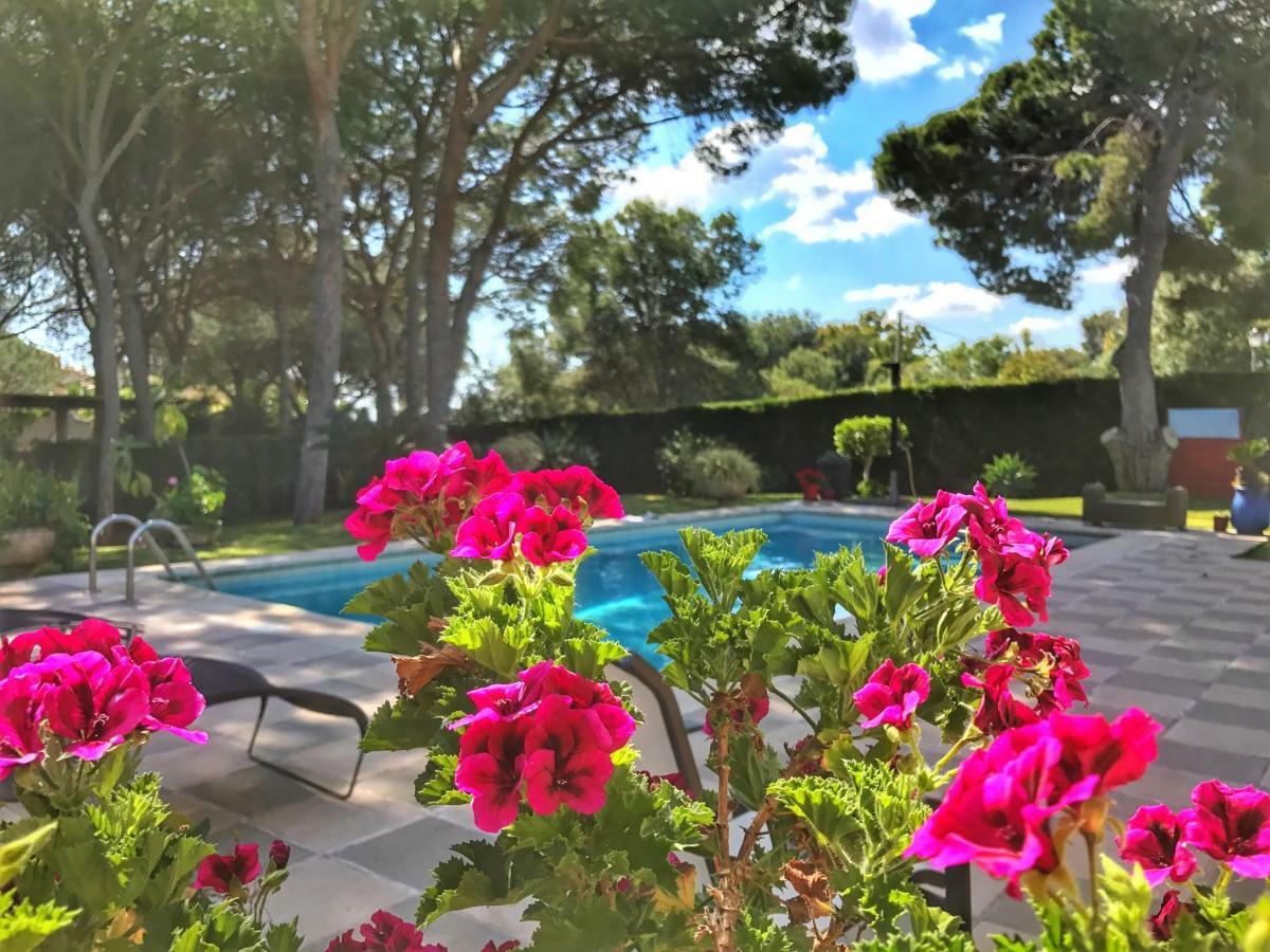 El Nacar Bed & Breakfast Marbella Exterior photo