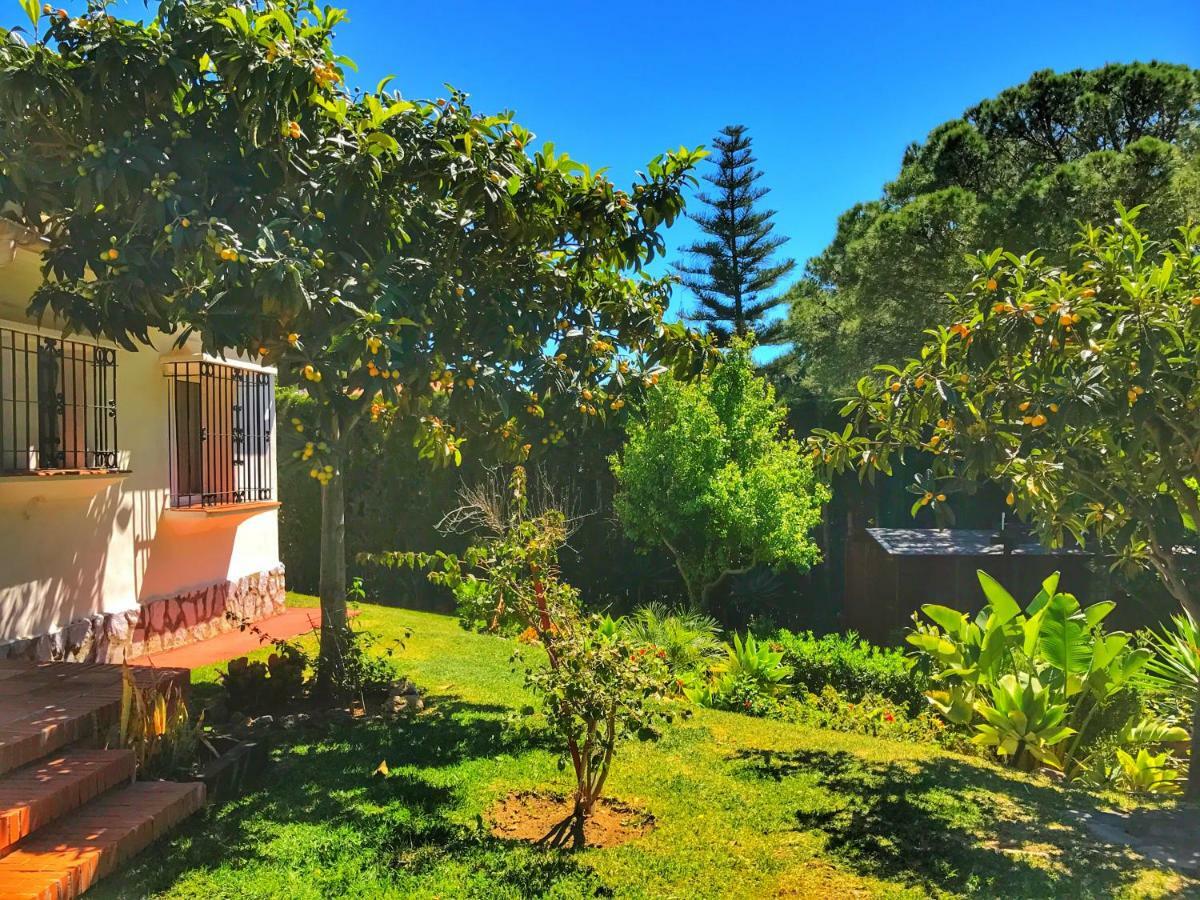 El Nacar Bed & Breakfast Marbella Exterior photo