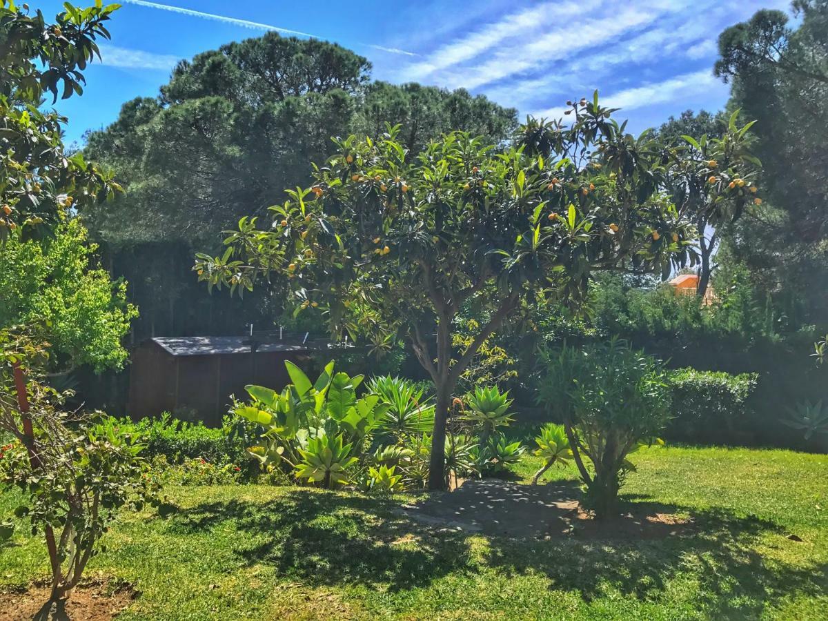 El Nacar Bed & Breakfast Marbella Exterior photo